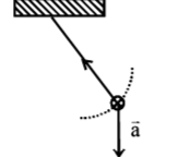 Gravitation mcq option image